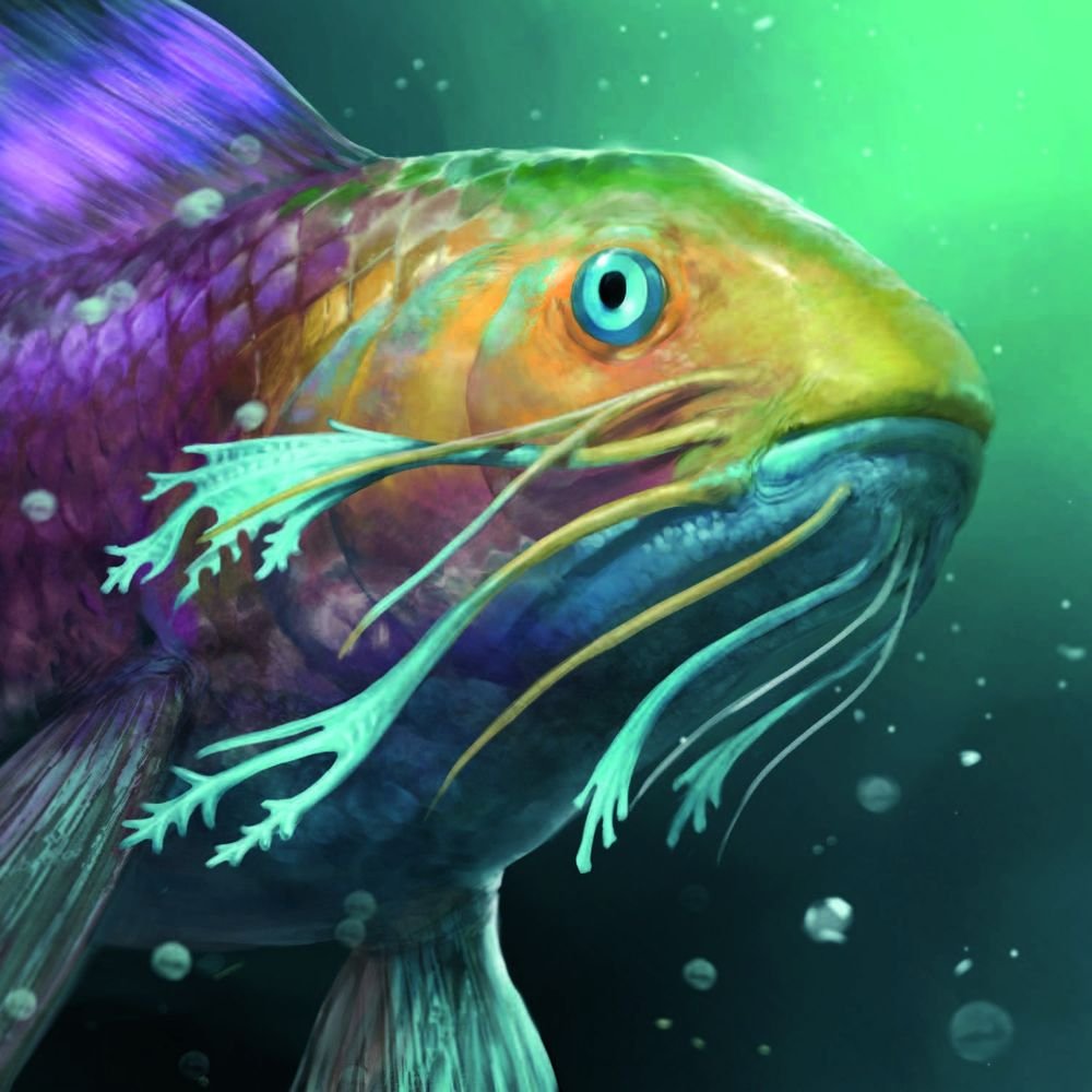 Me, trying to casually listen in whenever I hear people talking about board games.