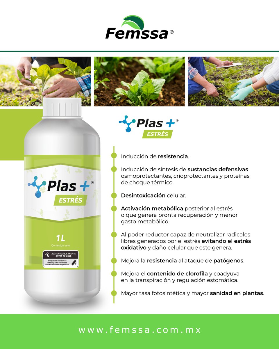 Plas+Estrés está diseñado para el manejo de plantas que se encuentren bajo estrés, gracias a sus componentes es que se le confieren funciones como una completa desintoxicación celular y una inducción de resistencia a las condiciones provocadas por factores externos 😉