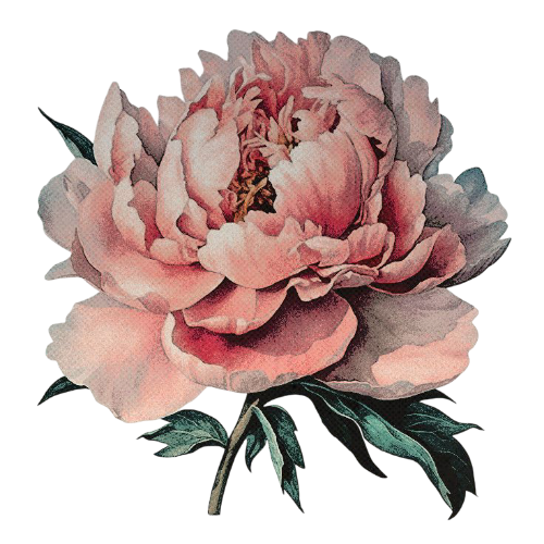 ᅠ𝒘𝐚͟𝐭͟𝐭͟𝐩͟𝐚𝐝 𝒃𝐨𝐲 .ᐟ tweet media