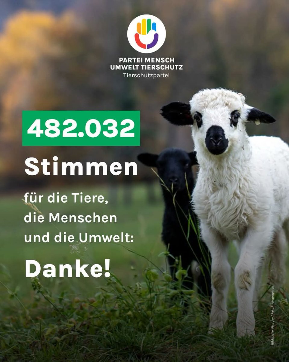 Danke für eure Stimmen! 💚 Unser Ergebnis zeigt: Tierschutz, soziale Gerechtigkeit &amp; Umweltschutz haben Rückhalt. Wir machen weiter für mehr Mitgefühl in der Politik! #danke #bundestagswahl #tierschutzpartei