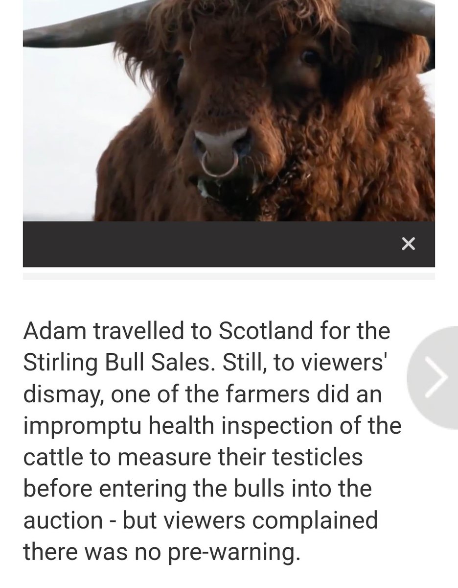 David Atkinson tweet media