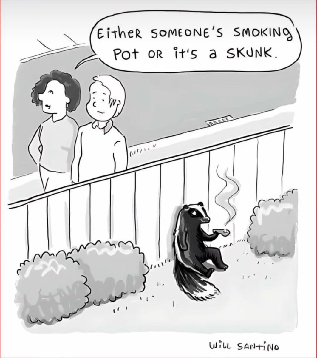 Stoner Barbie (@stonersvilla) on Twitter photo 