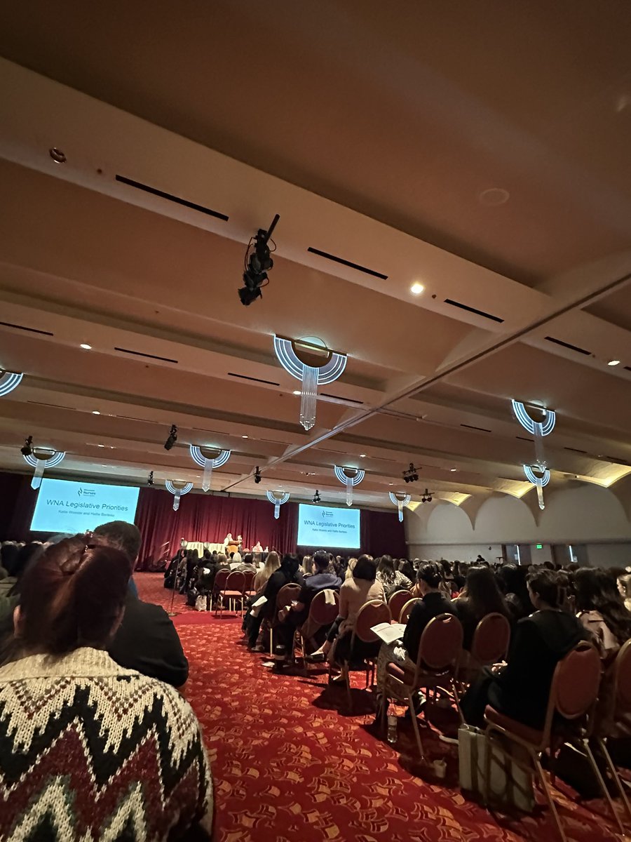 Wisconsin Nursing Assoc. day on the hill. What we are advocating for!