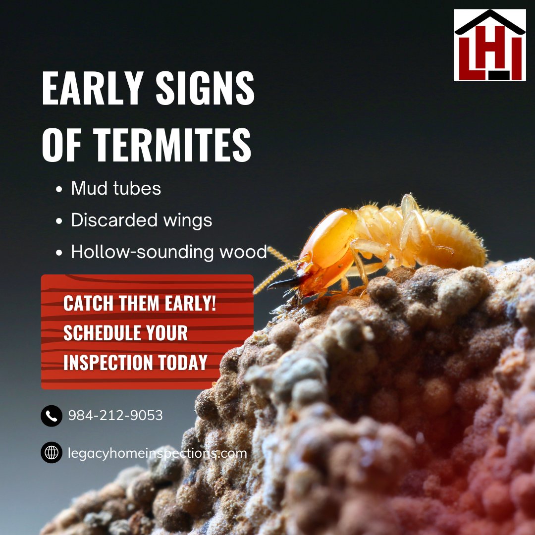 jvoglerlhi's tweet image. 🐜 Worried about pests? WDO inspections from Legacy Home Inspections protect your home from hidden damage. Schedule now at legacyhomeinspections.com! 🏡

#WDOInspection #LegacyHomeInspections #PestProtection #HomeSafety #PeaceOfMind