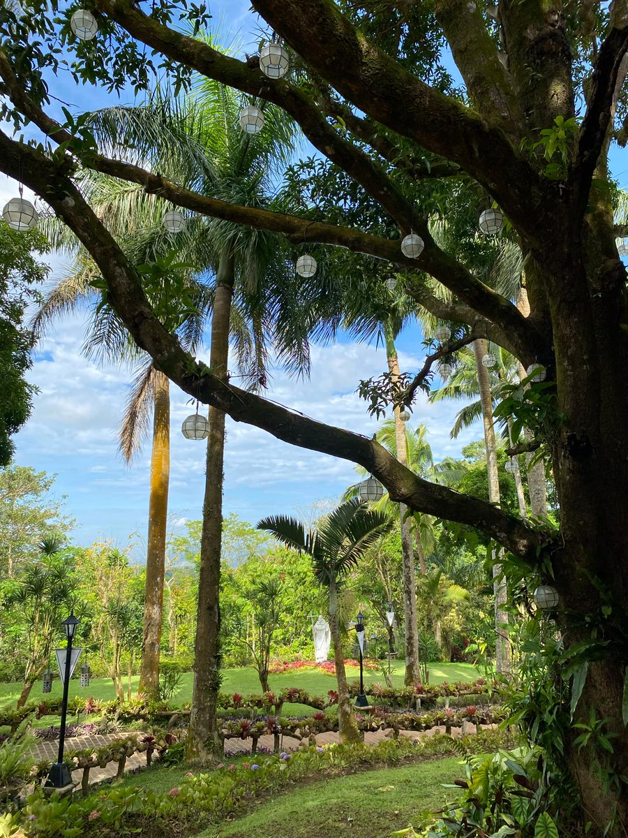 a break from school 🌿 

bring me back here pls ... <//3
