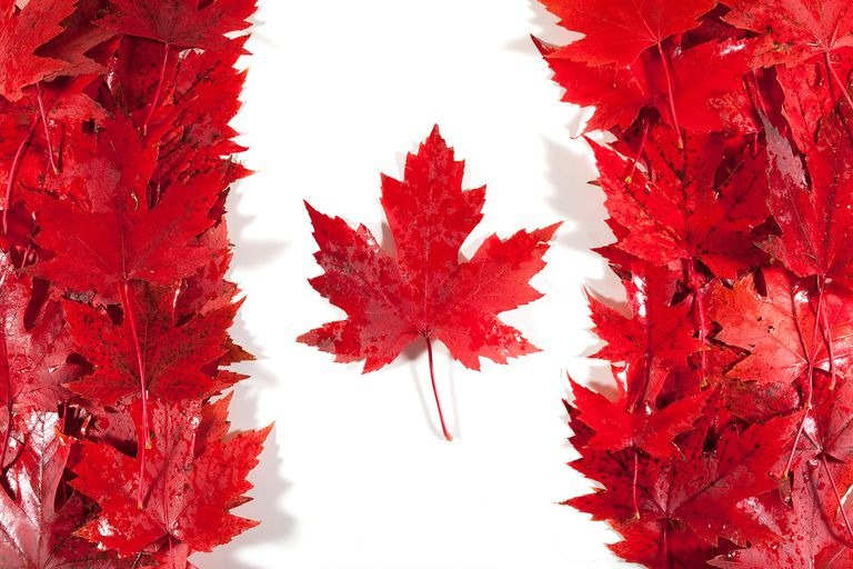 I found this site that lists  Made in #Canada and Products of Canada. 

Retailers included are: Metro, Costco, Walmart, Superstore, Sobeys etc. 

Great for a quick scan 🇨🇦 before you make a list. loom.ly/KtWgX0c