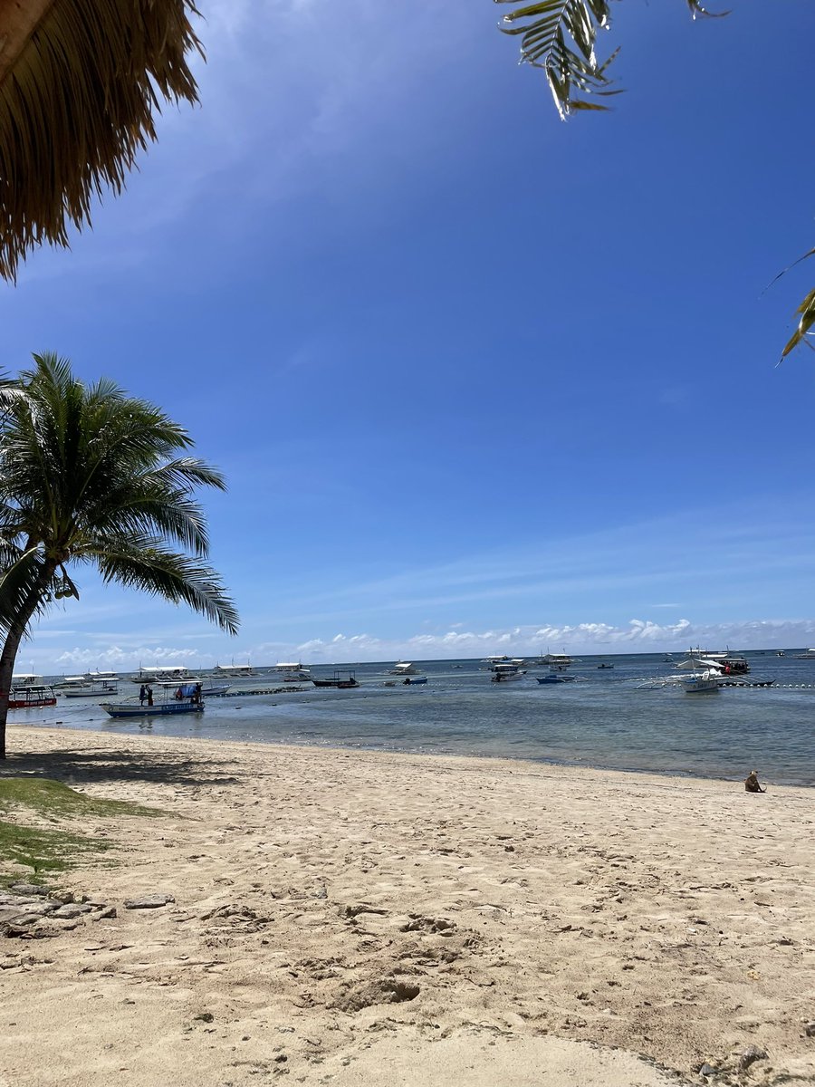 물 맑고 따뜻한 필리핀 보홀!!
여유있고 알찬 휴가를 보내시고 싶으시다면 
보홀로 오세요!! 물론 저와 함께 하신다면 
보홀 여행은 정확히 5배 더 편리하고 행복한 여행이 되실겁니다!! 가이드 문의 주세요!!

#보홀 #보홀여행 #보홀가이드 #보홀커플 #보홀마사지 #보홀부부 #보홀초대