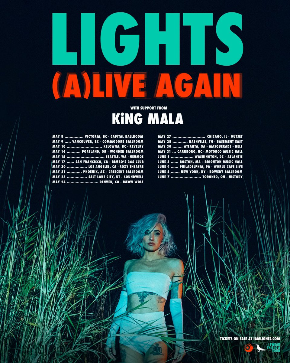 Lights tweet media