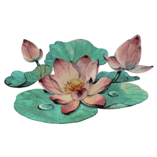 ᅠ𝒘𝐚͟𝐭͟𝐭͟𝐩͟𝐚𝐝 𝒃𝐨𝐲 .ᐟ tweet media