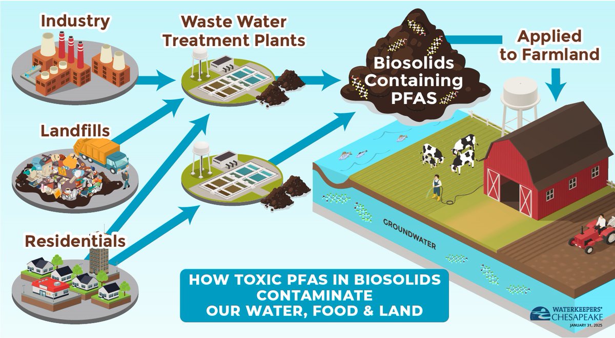What about PFAS -- toxic forever chemicals -- in our food? VA should require more testing before allowing sewage sludge with PFAS to be used as fertilizer!

Read this great reporting on what is happening in Westmoreland County, VA and elsewhere:  ow.ly/Y5GW50V68BF