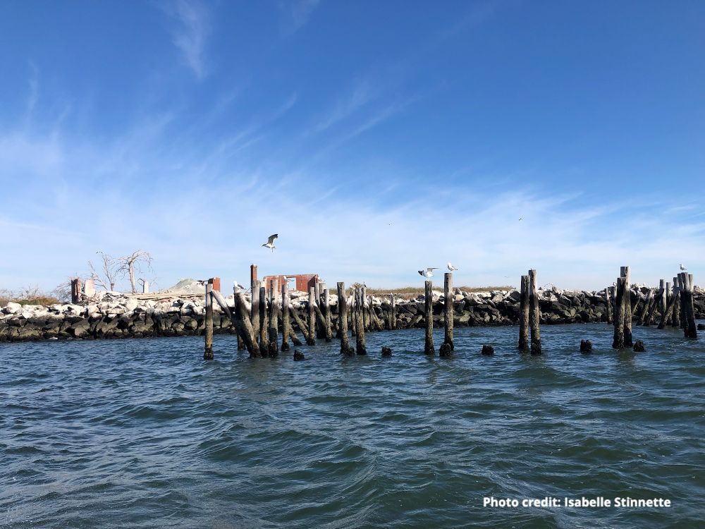 harborestuary's tweet image. Tidal Exchange: Bi-state progress on flooding, a reader survey & more! - mailchi.mp/hudsonriver.or…
