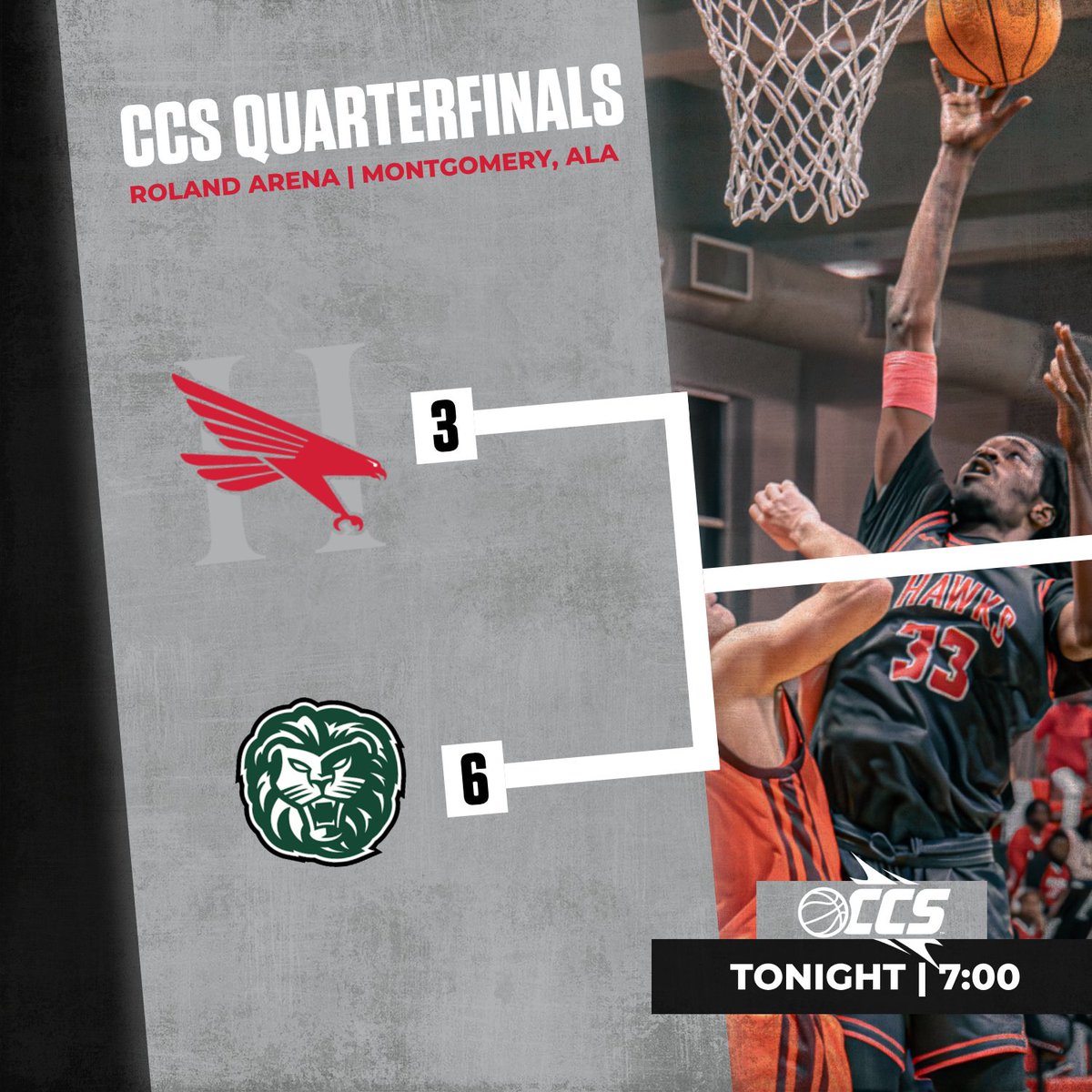 It's @ccofsouth tournament GAMEDAY!

@hchawksmbb plays host to Piedmont University at home at 7:00 PM CT

@hchawkswbb hits the road to play Belhaven at 5:00 PM CT

LET'S GO HAWKS!

#hawkem