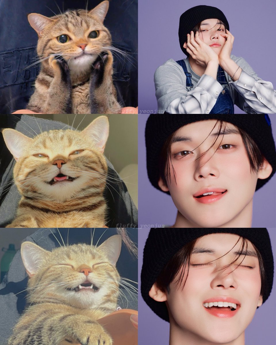 fluffy_Yeonjun's tweet image. 🤲🐱😺😸✨