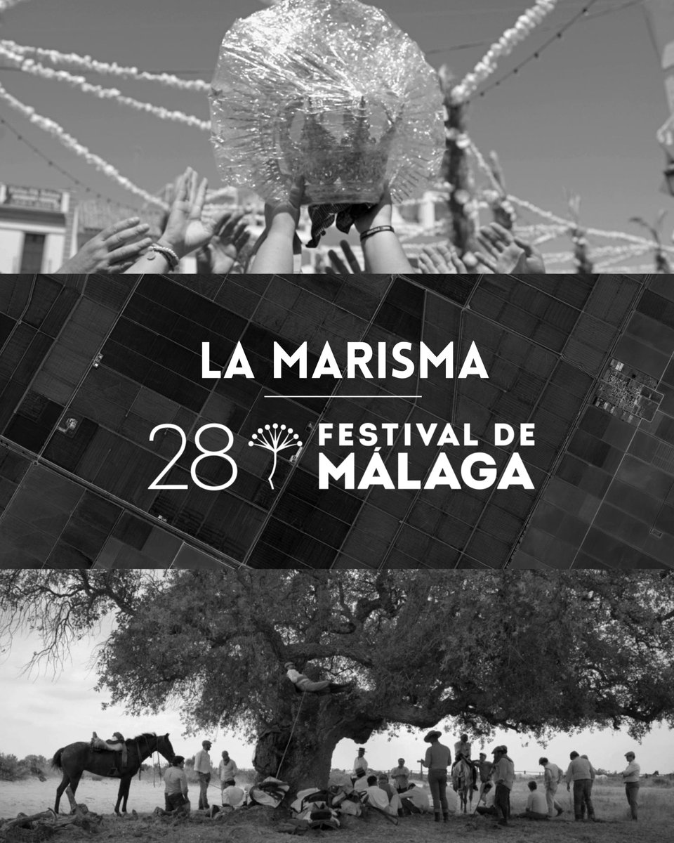 LaClaquetaPC's tweet photo. 🎬 ¡Ya podemos anunciarlo! El documental del biólogo y director de cine Manu Trillo, se estrenará en la Sección Oficial de la 28ª edición del @festivalmalaga.
#LaMarisma es un viaje por todos los rincones de la marisma de Doñana. https://t.co/Zvh5xDG0xh