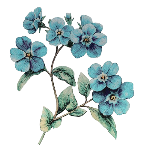 ᅠ𝒘𝐚͟𝐭͟𝐭͟𝐩͟𝐚𝐝 𝒃𝐨𝐲 .ᐟ tweet media