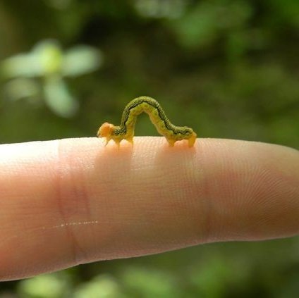 ||rp-moment||

солнце нещадно жгло "лисью горку". такого жаркого дня еще не было ни разу за смену. от лагерного забора вдруг отделилось две маленькие фигурки и на перегонки побежали в сторону поля, перепрыгивая через торчащие корни деревьев и предательски разбросанные ↓