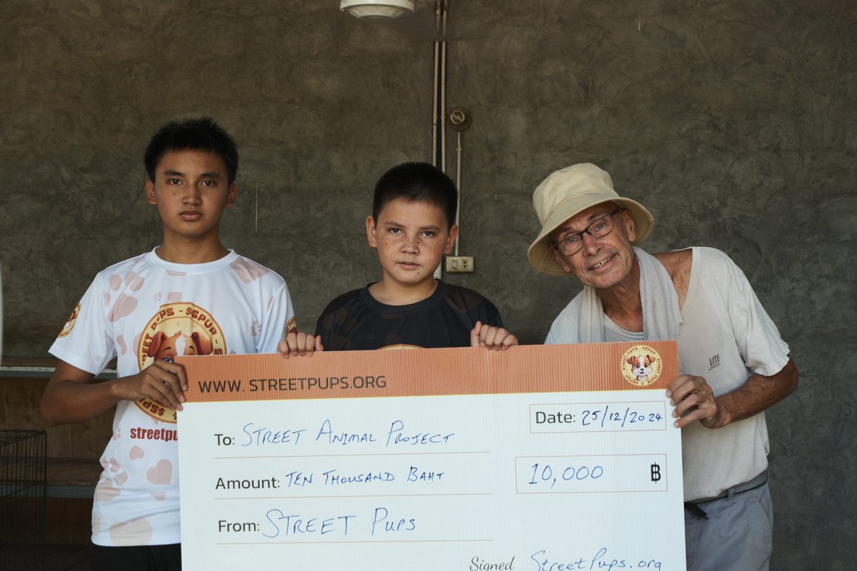 Street_Pups's tweet image. How does $SPUP change stray dogs futures? 🐕🏠

🔹 Funds safe shelters.
🔹 Supports long-term welfare programs.
🔹 Improves living conditions.
Join us to make a difference! 🌟🐾 

#SPUP #CryptoForGood #AnimalWelfare