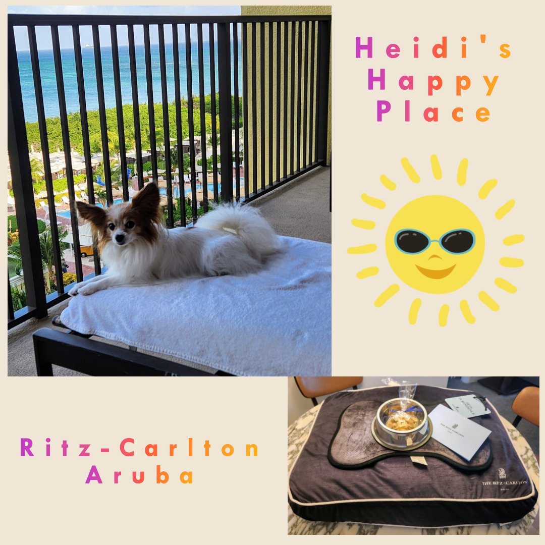 Heidi received a lovely welcome package w/ a handwritten note to HER. We both enjoy the huge balcony where she chases birds &amp; I relax. Warm salty air cures all. Sinus issues, body aches, winter shut-in boredom, all gone in less than 24 hours.
