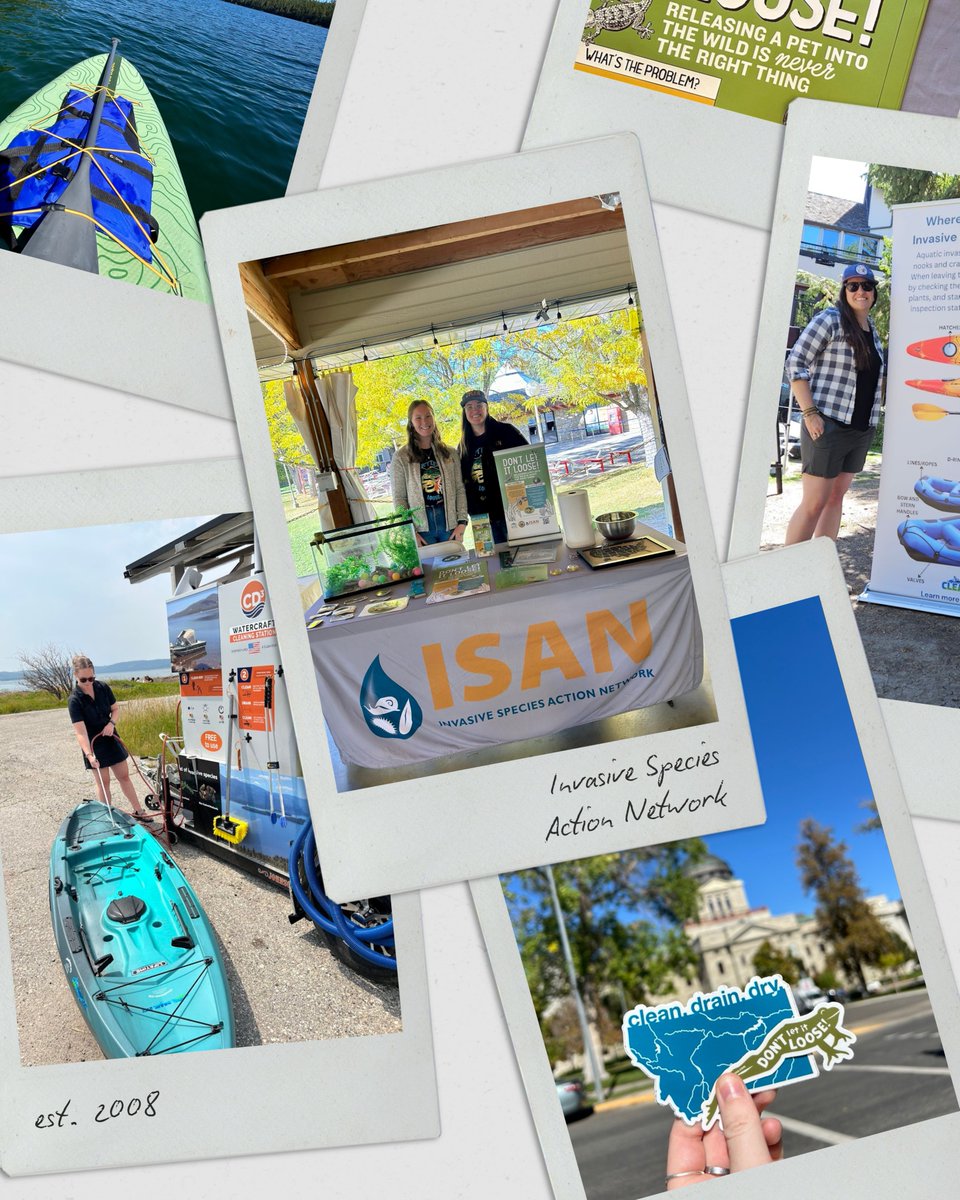 Stop_AIS's tweet image. With new friends joining us for #NISAW2025 we'd like to reintroduce ourselves.
ISAN is a non-profit dedicated to reducing the human caused spread of invasive species by working with the public, private industry, and government entities. Learn more at stopais.org.
