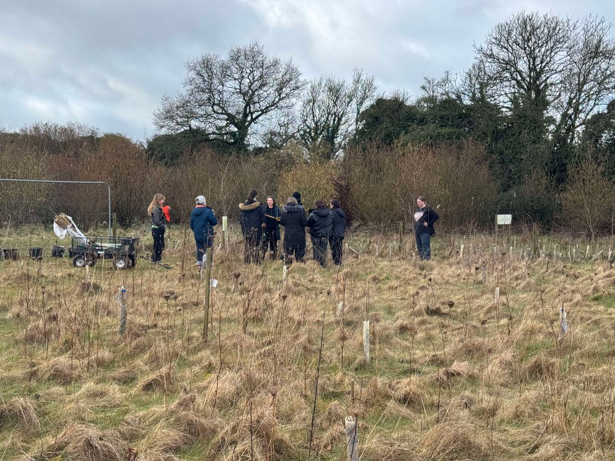 🌿 #VolunteerConservation Day – #Teamwork in Action! 🌿Huge thanks to our volunteers &amp; students from Harrow Way &amp; Andover College! 💪 From fencing repairs &amp; hazel trimming to site office construction &amp; nature-inspired art, your hard work makes a difference! 💚 Stay tuned!