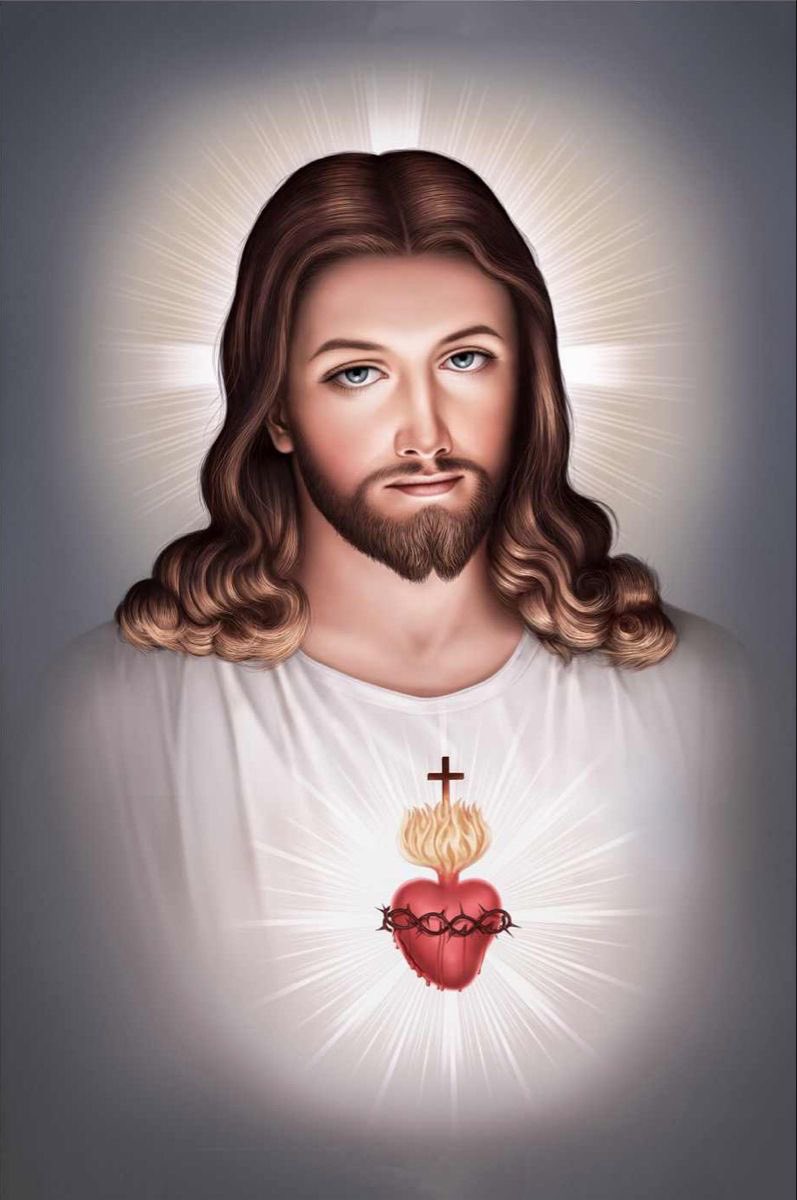Most Sacred Heart of Jesus, have mercy on us