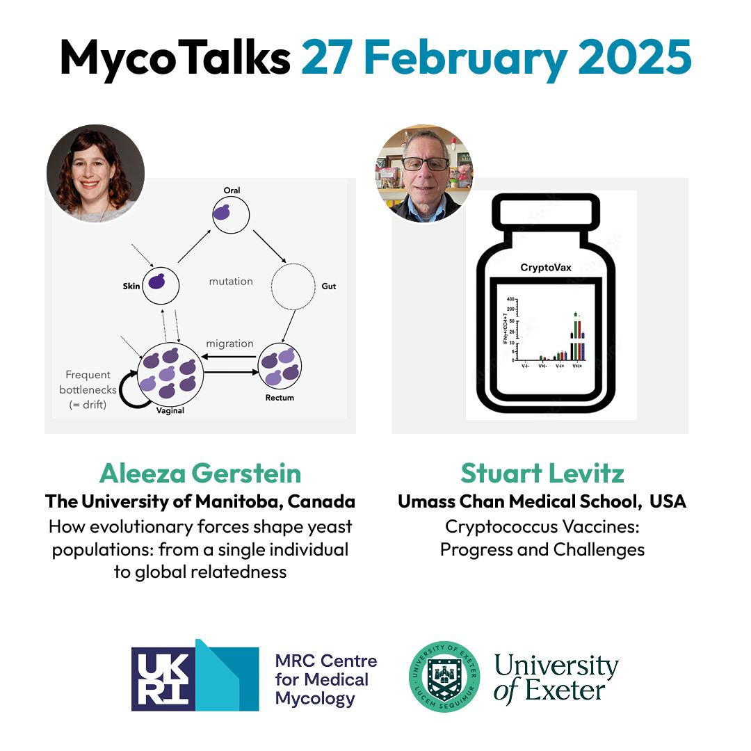 MRCcmm's tweet image. Our next #MycoTalks webinar takes place this week with Aleeza Gerstein and Stuart Levitz
▪️16:00 GMT
▪️Thursday 27 February
Sign up here: Universityofexeter.zoom.us/webinar/regist…