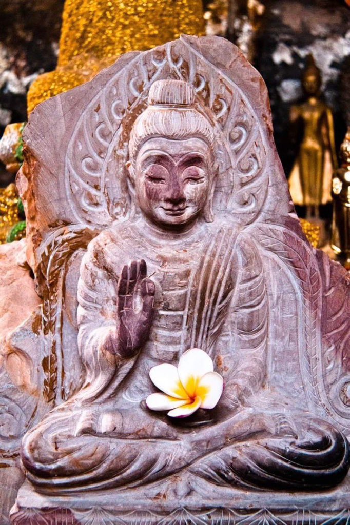 "In order to be free, we must learn how to let go. Release the hurt. Release the fear. Refuse to entertain your old pain."