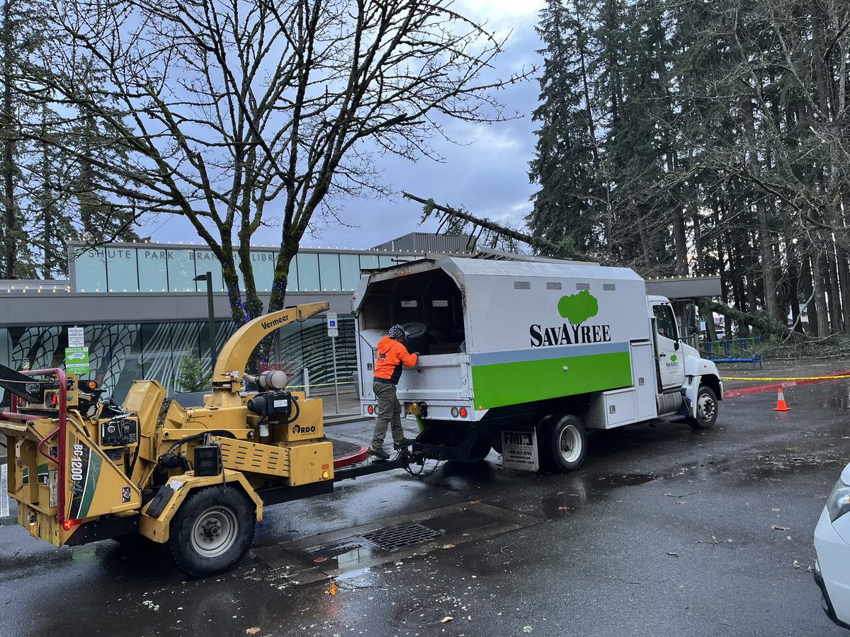 Tree removal crews are arriving at the Shute Park Library in Hillsboro to remove a large tree that fell on the roof last night. No one was hurt. City says the library is planning to open today but delayed until later this afternoon, most likely. <a href="/fox12oregon/">FOX 12 Oregon</a>