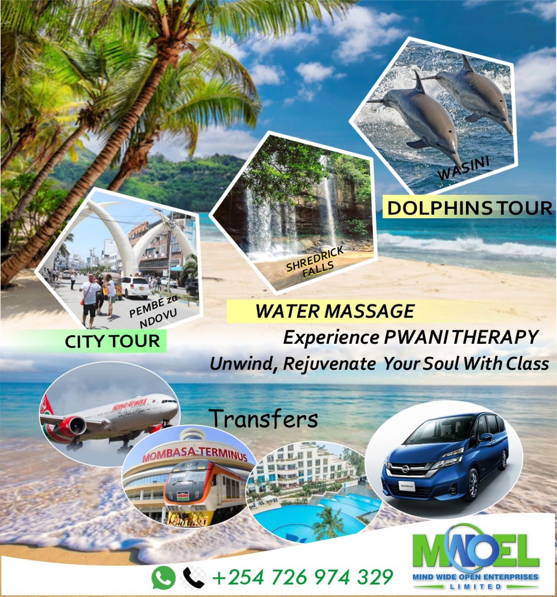 lionsembi communications ltd tweet media