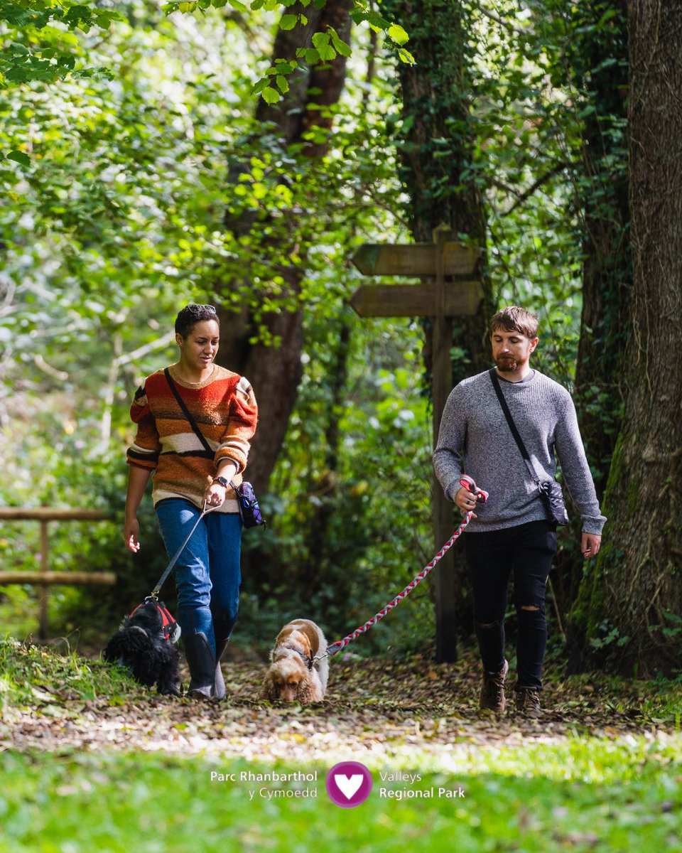 LoveTheValleys's tweet photo. We’re proud to welcome four-legged friends to all of our Discovery Gateways — after all, they’re the perfect companions for a nature-filled adventure 🙌🐶 https://t.co/TvlgVGtqwL