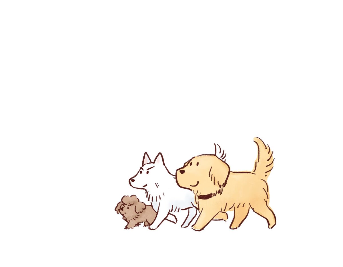 #태섭대만
#リョ三
宫城和三井的家里有三只生物：Miyagi、Mitsui和Mikan。
为了不让两个人类分手，蜜柑在生日悄悄许了愿……于是狗狗神仙把两个人都变成了狗。
（是给自己的本画的封面图）