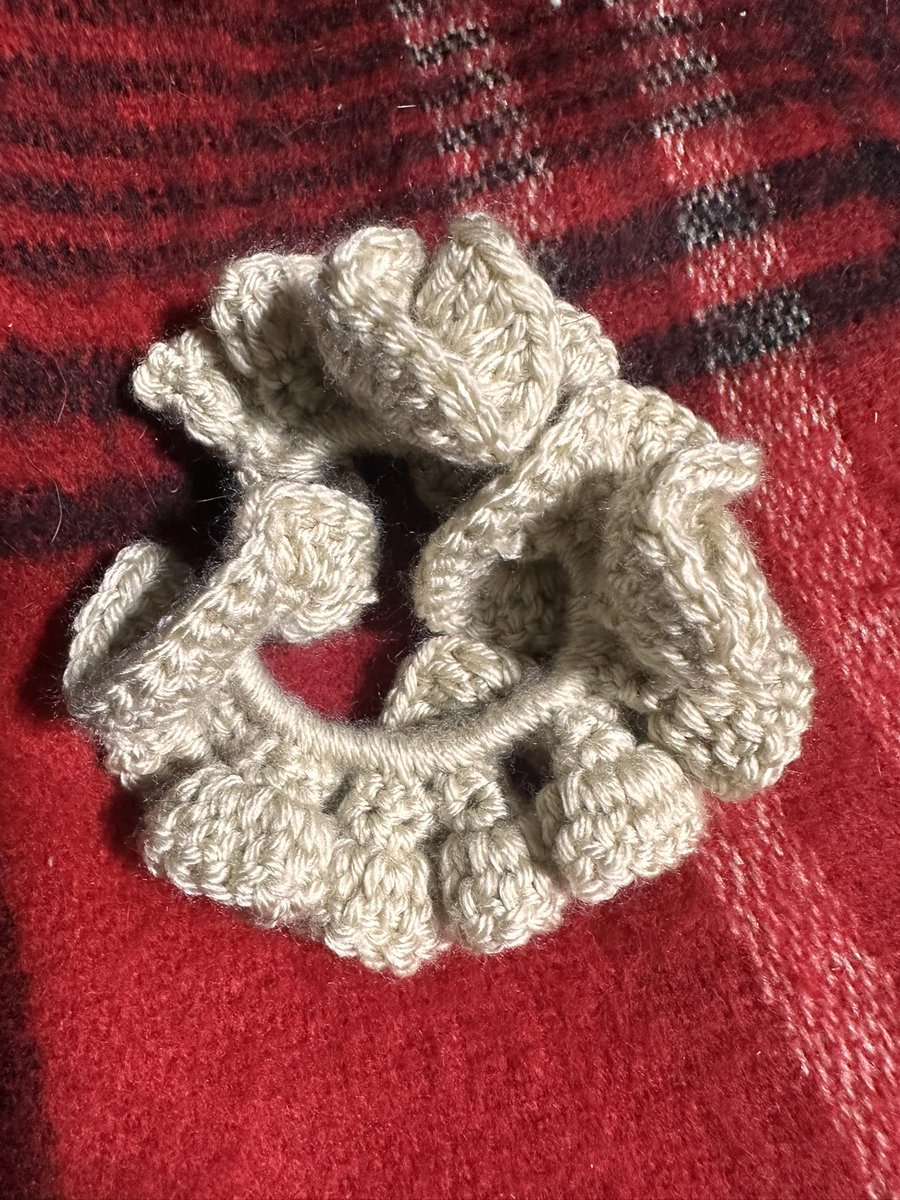 jun3413's tweet image. 残り毛糸でシュシュを編んだ

短時間で簡単にできるから、残り毛糸で時々作ったりする

たっぷり糸を使ったので可愛くできた
ビーズつけるか‥と思ったけど可愛くなりすぎるだろうからやめた

明日はこれで髪を結ぶかな