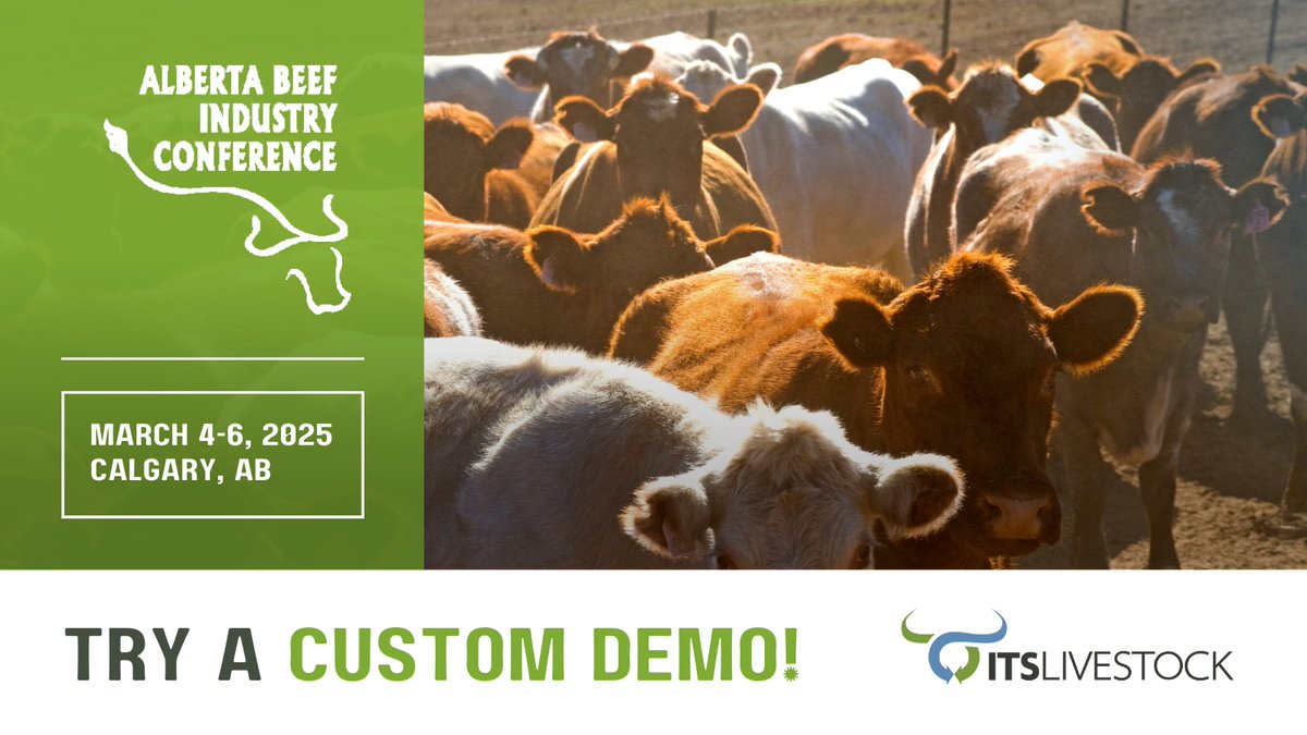 ITSLivestock's tweet image. 🐂 Say hello to better feedlot management NEXT WEEK in Calgary at @ABBeefConf 2025!

📍Visit our booth for a custom demo to see how our fully integrated #feedIT system can make life easier &amp;amp; boost your bottom line. 

See you there, #CattleFeeders!

#AbBeef2025 #ITSLivestock