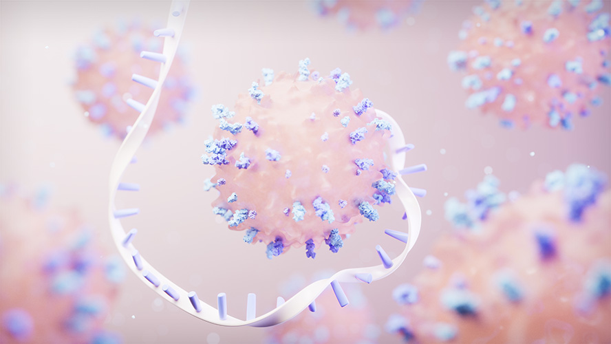 UHN Research (@uhn_research) on Twitter photo Scientists <a href="/PMResearch_UHN/">Princess Margaret Cancer Centre Research</a> have uncovered how cancer can evade immune defenses after losing a key tumour-suppressing gene. These findings implicate repetitive elements in DNA and may unlock new targets for cancer interception.
Read more ➡️ uhnresearch.ca/news/new-links… Scientists <a href="/PMResearch_UHN/">Princess Margaret Cancer Centre Research</a> have uncovered how cancer can evade immune defenses after losing a key tumour-suppressing gene. These findings implicate repetitive elements in DNA and may unlock new targets for cancer interception.
Read more ➡️ uhnresearch.ca/news/new-links…