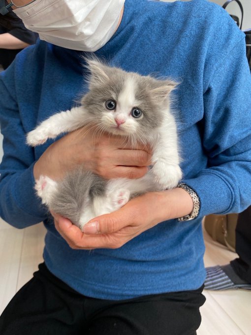 ←生後43日後
→生後98日後 