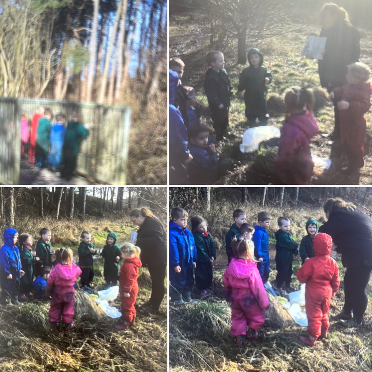 netherthirdps's tweet photo. Muddy Monday!!
We were excited to be back in the woods, so much mud to explore and huge big puddles to splash in ๐ฆ
We stopped for a wee rest, snack and & read the Bear Hunt ๐ป
@eacearlyyears @eaclost
#exploringnature ๐ณ
#retellingastory ๐ป๐ฆ๏ธ https://t.co/i0fa6PkrOK