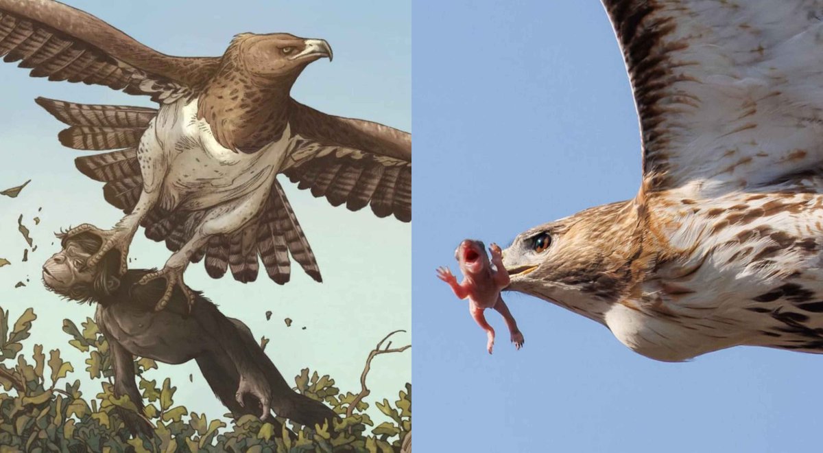 classicaldoom's tweet photo. Humans escaped nature's horrors, then boldly declared, 
"Nature is perfect as it is—no need to intervene." https://t.co/B7S8dtPf7u