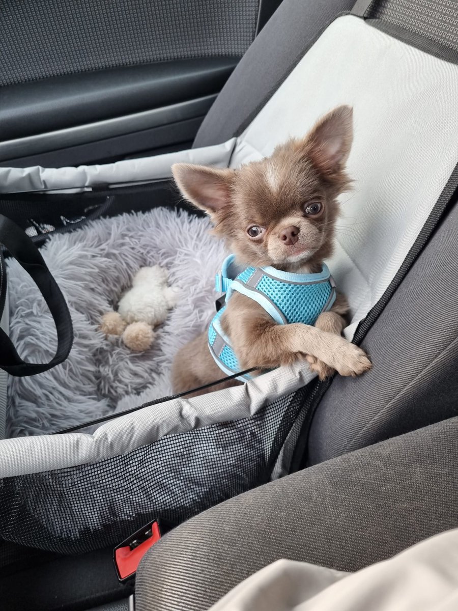 Juchuuuu, Auto fahren.😆