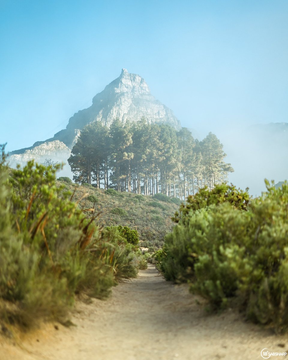 melissablanche_'s tweet photo. Mountain trails with endless views, I just love it here 🥹🍃 

#ThisIsLiving #ad #CapeTown https://t.co/EnBK9Hrpbi