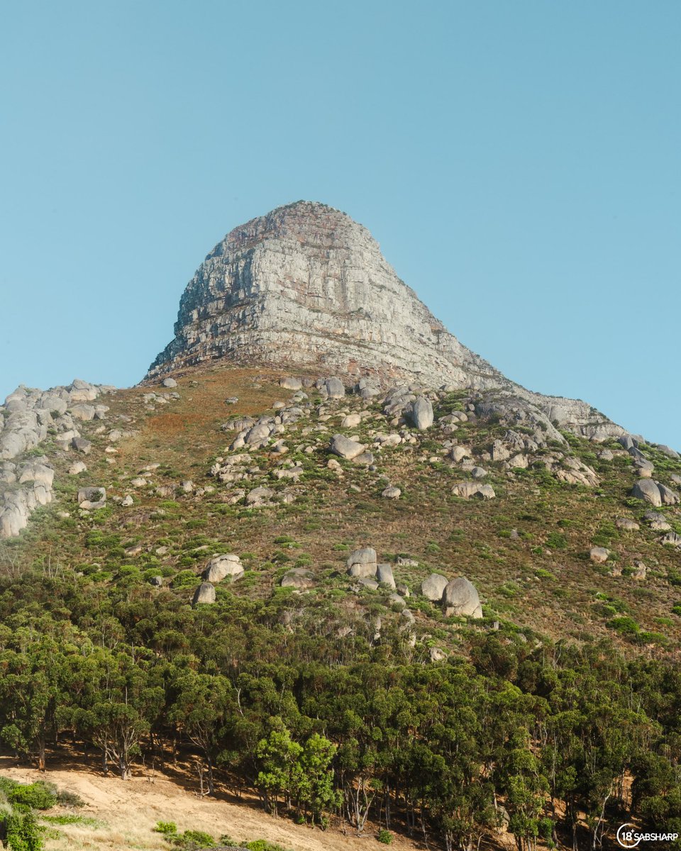 Mountain trails with endless views, I just love it here 🥹🍃 

#ThisIsLiving #ad #CapeTown