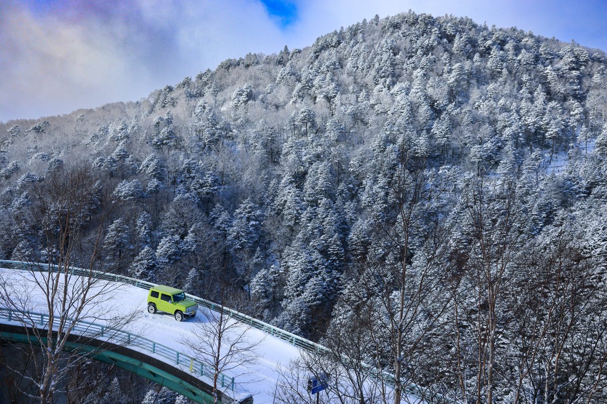 ELJAᓚᘏᗢ 🐾（えるじゃ） tweet media