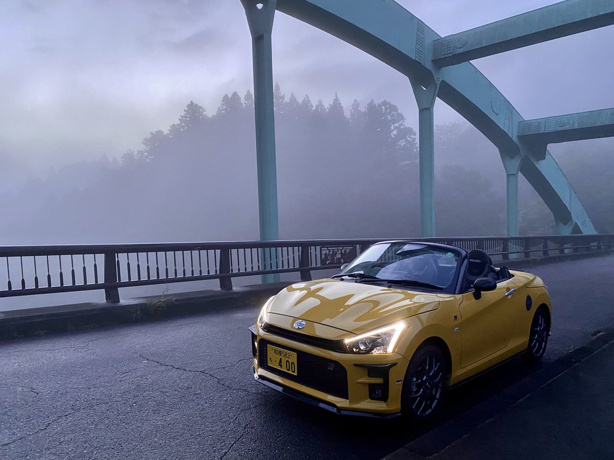 ELJAᓚᘏᗢ 🐾（えるじゃ） tweet media