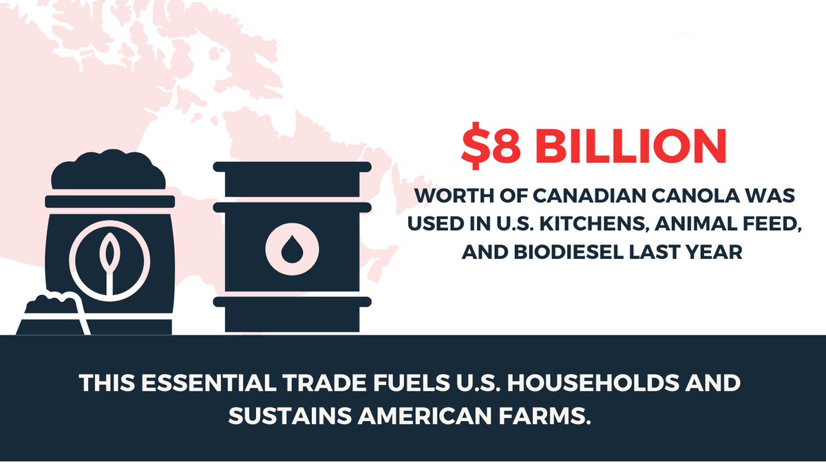 GrainGrowers's tweet image. Over $8 billion worth of Canadian canola and biodiesel was used in US kitchens, animal feed and transportation last year. This essential trade fuels US households and sustains Canadian farms.