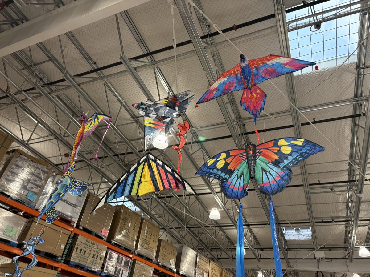 GreemaRegion's tweet image. Kite Pokémon you’ll see in Greema. The flying type gym leader and its area is known to be filled of kites and having a kite festival. I have a fun idea for this pokemon. The rainbow 🌈 one being the baby while it evolves into the five other kites found. 

🐉 🦋 🦜🐢✈️