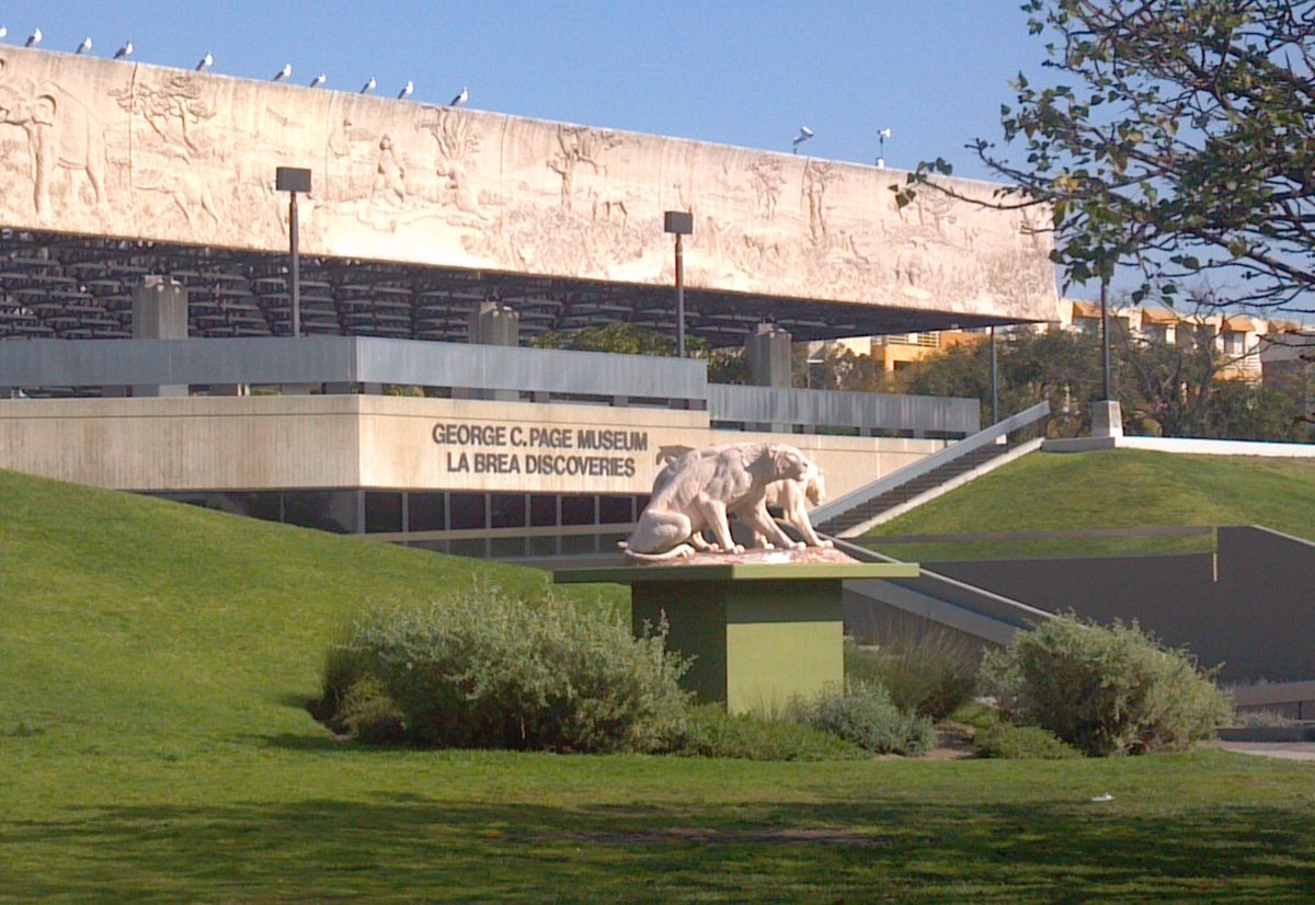 Tour du Jour (@tourdujourla) on Twitter photo There is an endless list of things to do in <a href="/discoverLA/">Discover Los Angeles</a>. Any itinerary for a visitor, especially when traveling with children, should include <a href="/labreatarpits/">La Brea Tar Pits</a>. The pits are an active excavation site of Ice Age fossils in the middle of our city! There is an endless list of things to do in <a href="/discoverLA/">Discover Los Angeles</a>. Any itinerary for a visitor, especially when traveling with children, should include <a href="/labreatarpits/">La Brea Tar Pits</a>. The pits are an active excavation site of Ice Age fossils in the middle of our city!