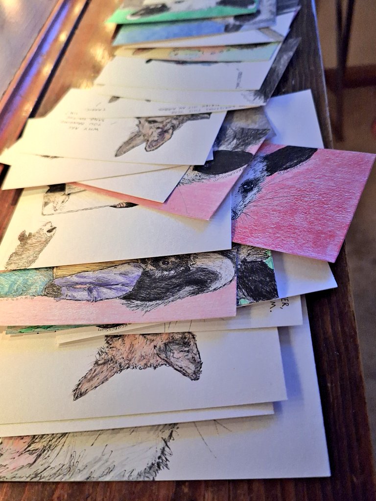 KC Opossum tweet media