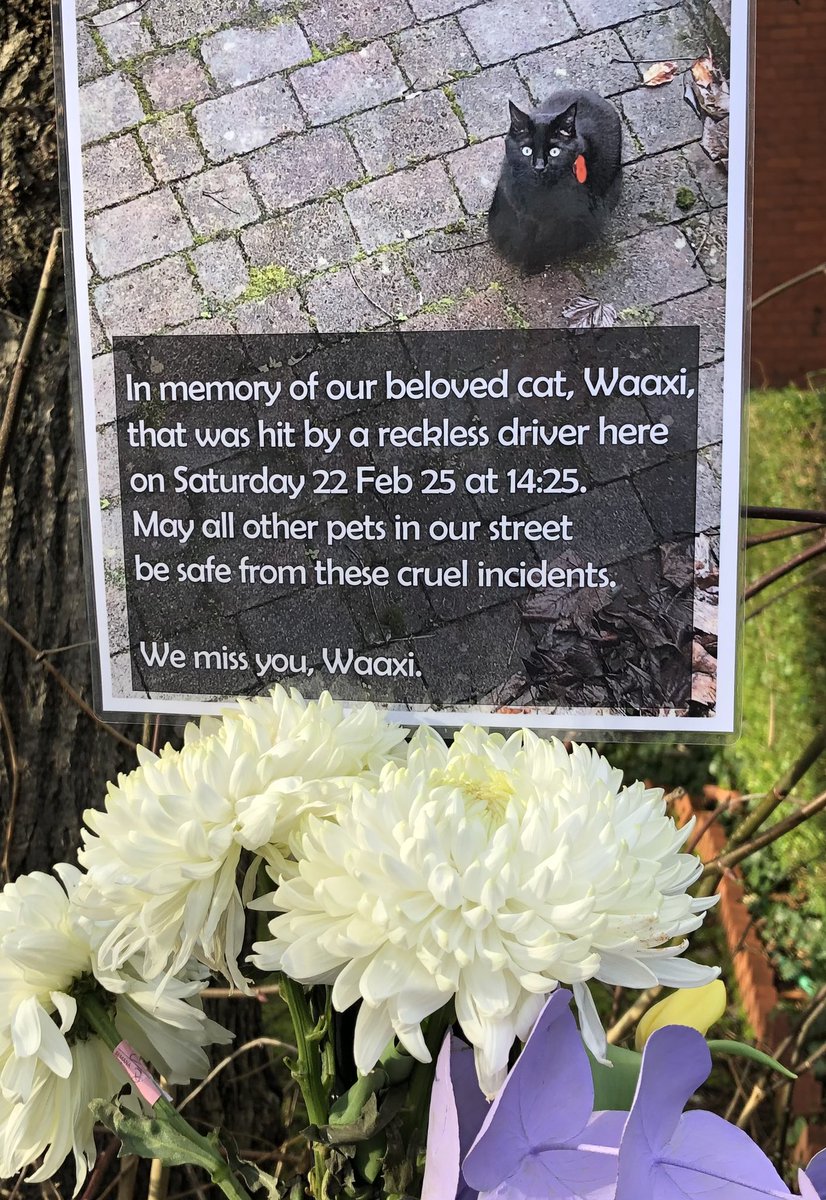 Touching tribute with a message for drivers, Avenue Road, Crouch End.