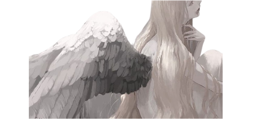 ︎

       ⚘⠀𝗅𝗈𝗍𝗎𝗌⠀⠀𐪞⠀⠀𝖻𝗋𝖺𝗇𝖼𝖺
               
︎ ︎