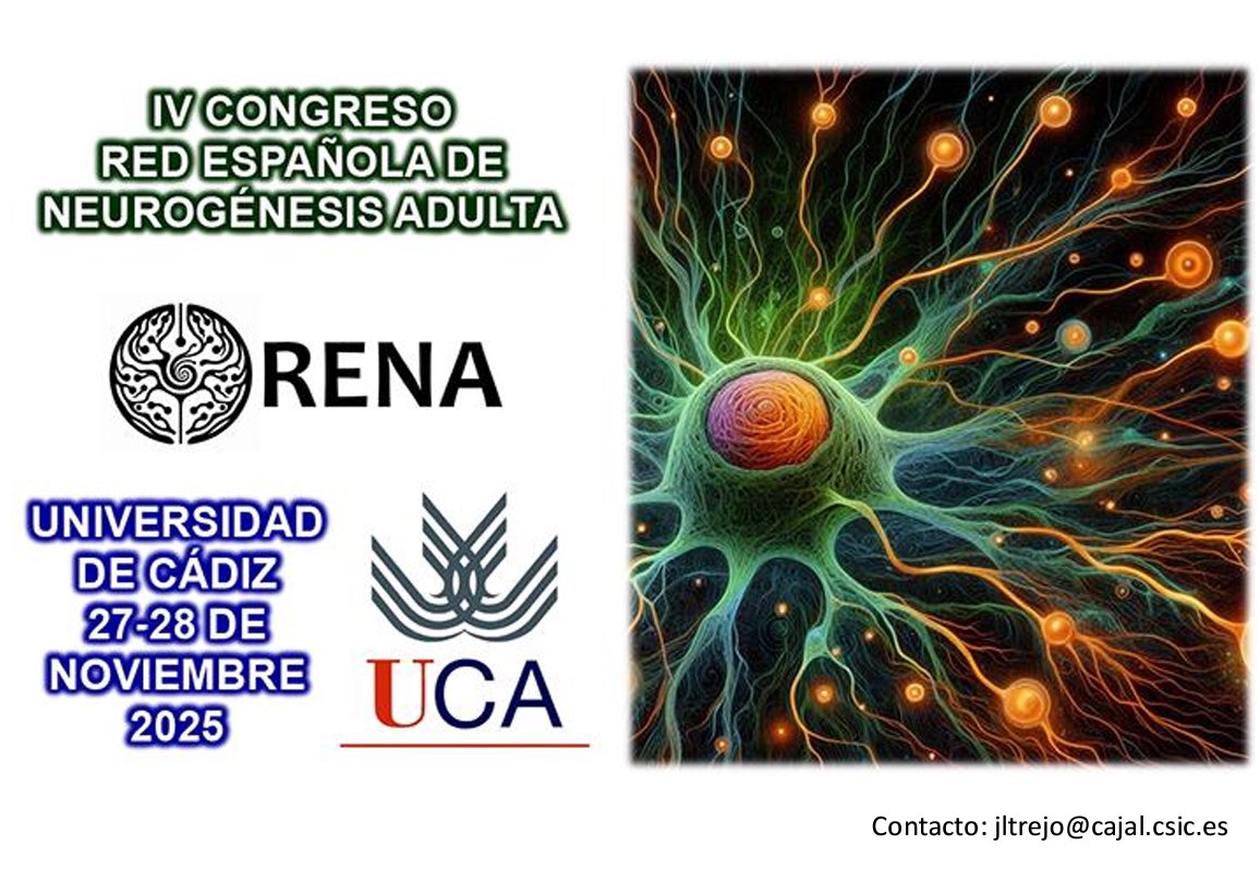 José Luis Trejo (@jltrejo2) on Twitter photo Con emoción os comunico la convocatoria del IV Simposio <a href="/RENA_SENC/">SpANN</a> <a href="/SENC_/">SENC</a> <a href="/CSICdivulga/">CSIC Divulga</a> a celebrar en #Cádiz 27 - 28 Noviembre 2025 Fac Medicina <a href="/medicinauca/">Facultad de Medicina</a> ¡Agendad fechas! Ponencias, pósters y plenaria a cargo de <a href="/jfcryan/">John F. Cryan</a>, ¡no hay cuota de inscripción! Pronto más información Con emoción os comunico la convocatoria del IV Simposio <a href="/RENA_SENC/">SpANN</a> <a href="/SENC_/">SENC</a> <a href="/CSICdivulga/">CSIC Divulga</a> a celebrar en #Cádiz 27 - 28 Noviembre 2025 Fac Medicina <a href="/medicinauca/">Facultad de Medicina</a> ¡Agendad fechas! Ponencias, pósters y plenaria a cargo de <a href="/jfcryan/">John F. Cryan</a>, ¡no hay cuota de inscripción! Pronto más información