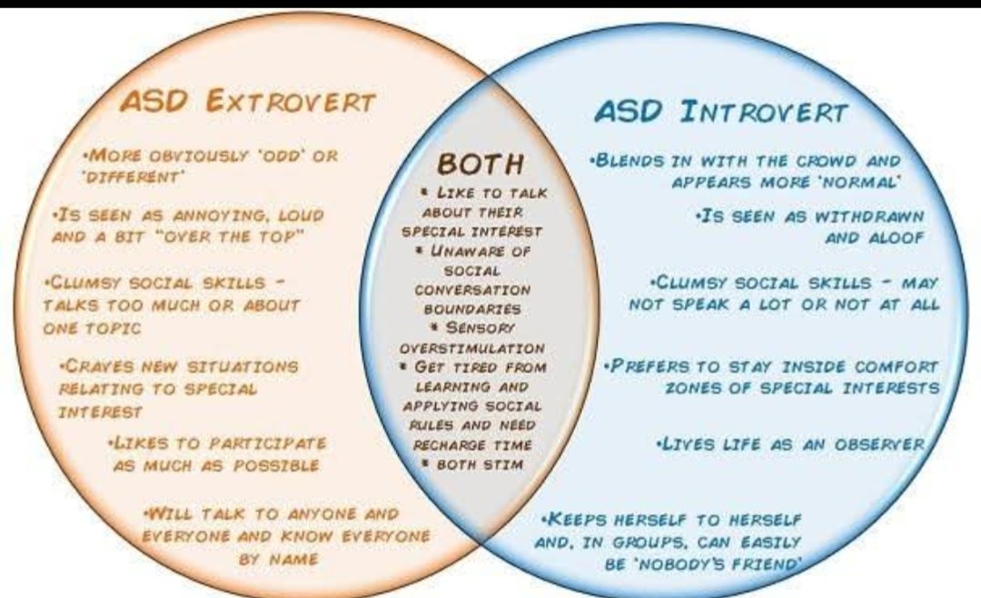 sens0ryoverl0ad's tweet photo. #autism #extravert #introvert https://t.co/4W2wh4y2ZE